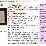 Test Anti-bacterias de Gaina